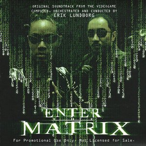 Image for 'Enter the Matrix'
