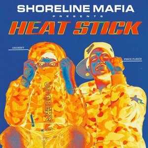 Image for 'HEAT STICK'