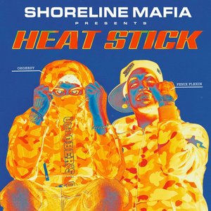 Изображение для 'HEAT STICK'