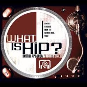 Image for 'What Is Hip? Remix Project, Volume 1'