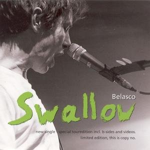 “Swallow”的封面
