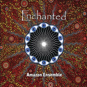 “Enchanted”的封面