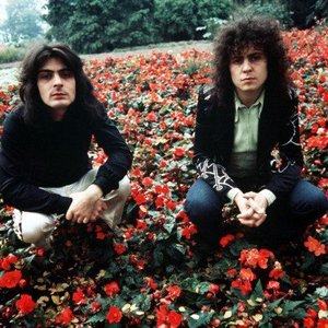 “T. Rex”的封面
