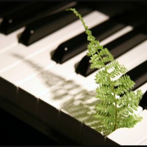 “Relaxing Piano”的封面