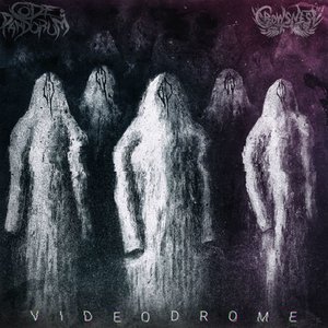 'Videodrome LP'の画像