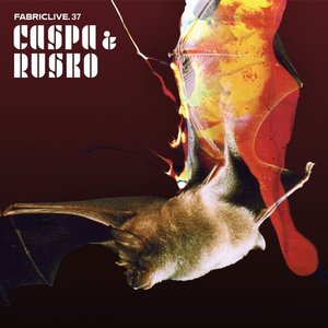 Изображение для 'FabricLive 37 (Caspa & Rusko)'