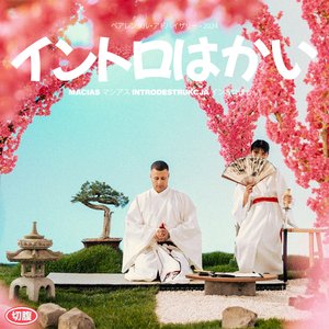 “INTRODESTRUKCJA”的封面