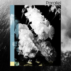 Image for 'PARALLEL'