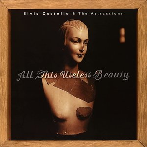 Image pour 'All This Useless Beauty'