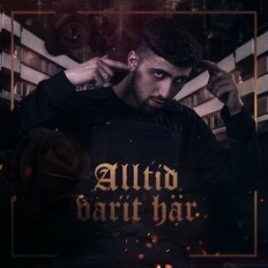 Image pour 'Alltid varit här'