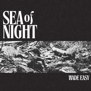 Image pour 'Sea of Night'