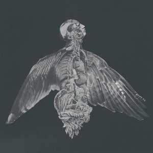 Image for 'Til Vinden I Dine Øjne'