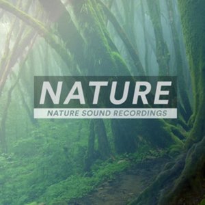 Image for 'Nature'