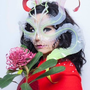 Image for 'Björk'