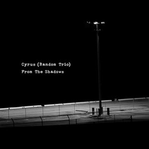 Image for 'From the Shadows'