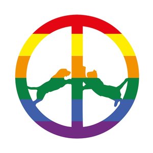 “Rainbow Edition”的封面