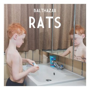 Bild för 'Rats'