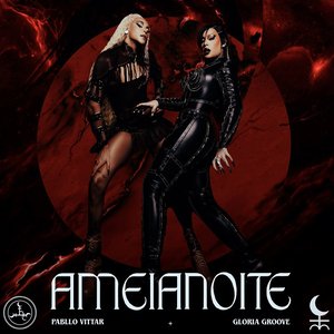 “Ameianoite”的封面