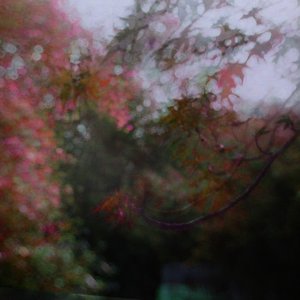 “Yıldızlar”的封面