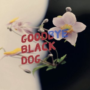 Imagem de 'Goodbye Black Dog'