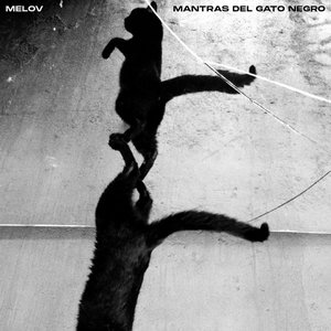 “Mantras del Gato Negro”的封面