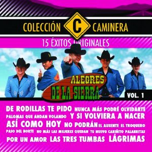 Imagem de '15 Exitos'