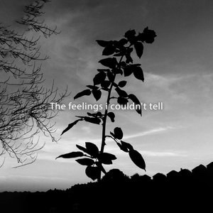 Bild für 'The Feelings I Couldn't Tell'