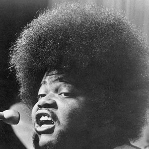 Image pour 'Buddy Miles'