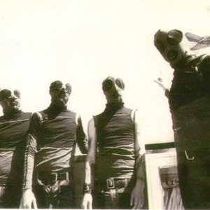 Image for 'The Locust'