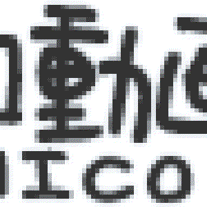 Image pour 'Nico Nico Douga'