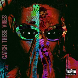 “Catch These Vibes”的封面