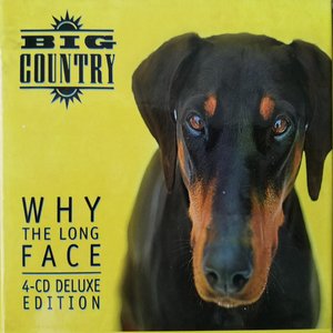 “Why the Long Face (Bonus Tracks & Demos)”的封面