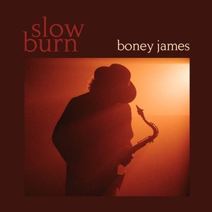Image for 'Slow Burn'