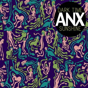 “ANX”的封面