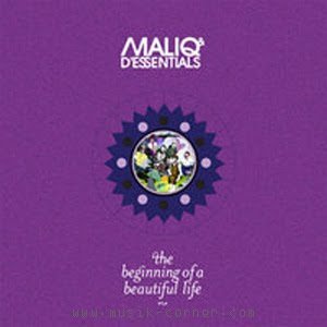 Image for 'The Beginning of A Beautiful Life'