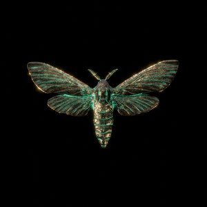 “Death by a Thousand Cuts (feat. Lucas Woodland)”的封面