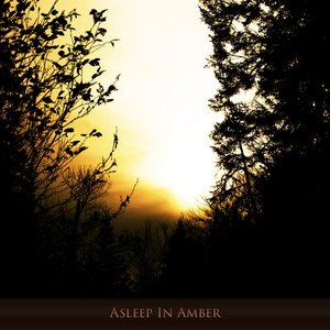 Image for 'Asleep in Amber'