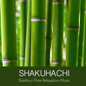 Immagine per 'Shakuhachi Bamboo Flute Relaxation Music - Oriental Japanese Music for Zen Buddhist Meditation'