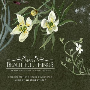 Image for 'Many Beautiful Things'