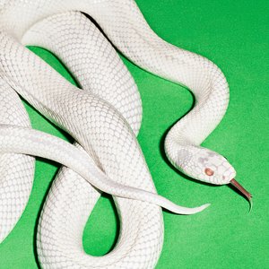 Zdjęcia dla 'infinite source'