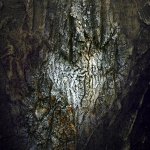 Image for 'Sweet Solitude (Extended Edition)'