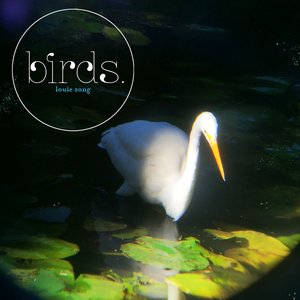 Image pour 'birds.'