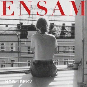 Image for 'Ensam'