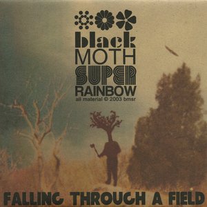 Image for 'Falling Through a Field'
