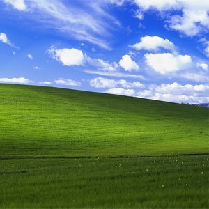 Image for 'Windows XP'