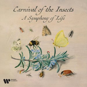 Image for 'Zzzz. Carnival of the Insects - A Symphony for Life'