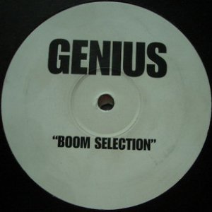 Image for 'Boom Selection'