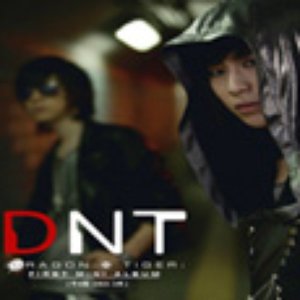 Image for 'DNT (Dragon N Tiger)'