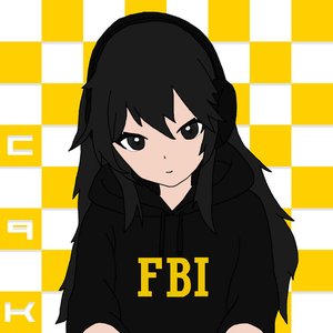 “Miss FBI”的封面