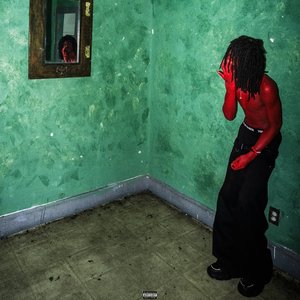 Image for 'SKIN TURNS RED'